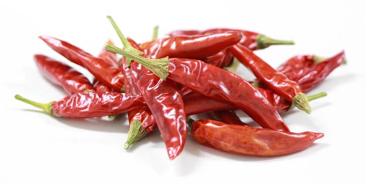 Chilischote