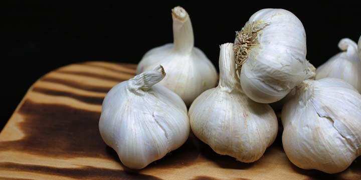 Knoblauchzehen