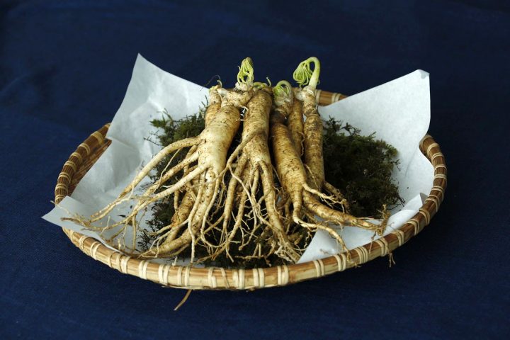 Ginsengwurzeln