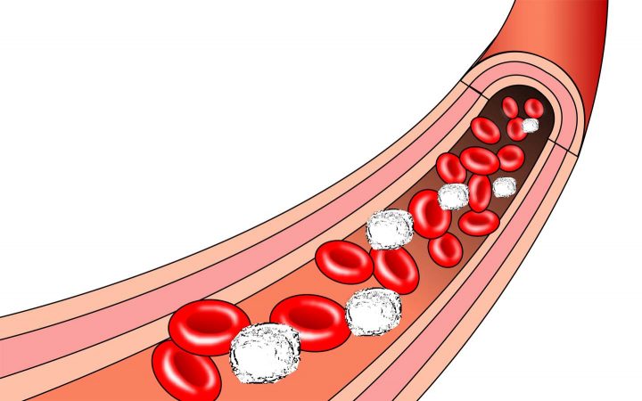 Rote Blutkörperchen in der Blutbahn