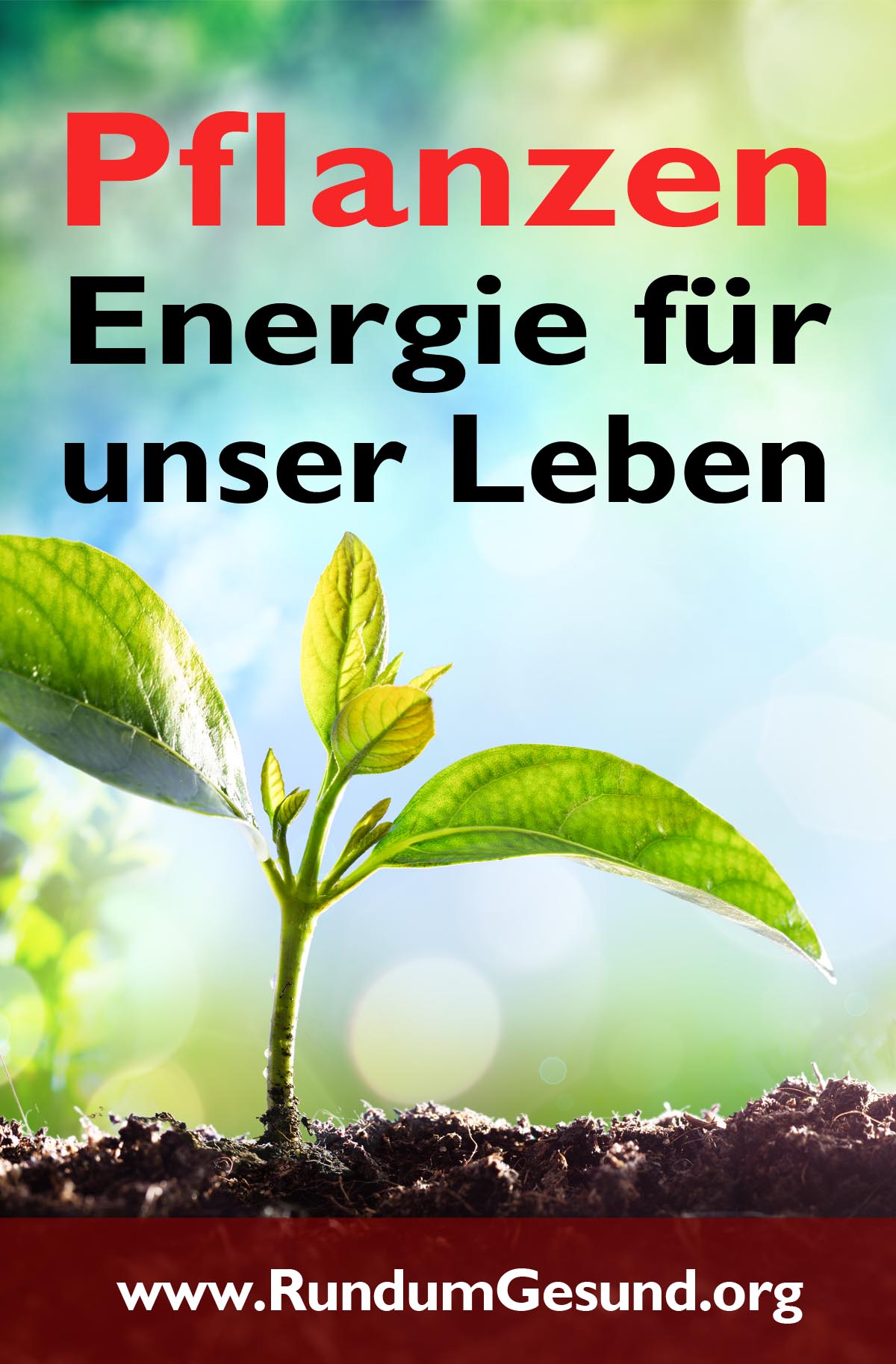 Pflanzen - Energie für unser Leben