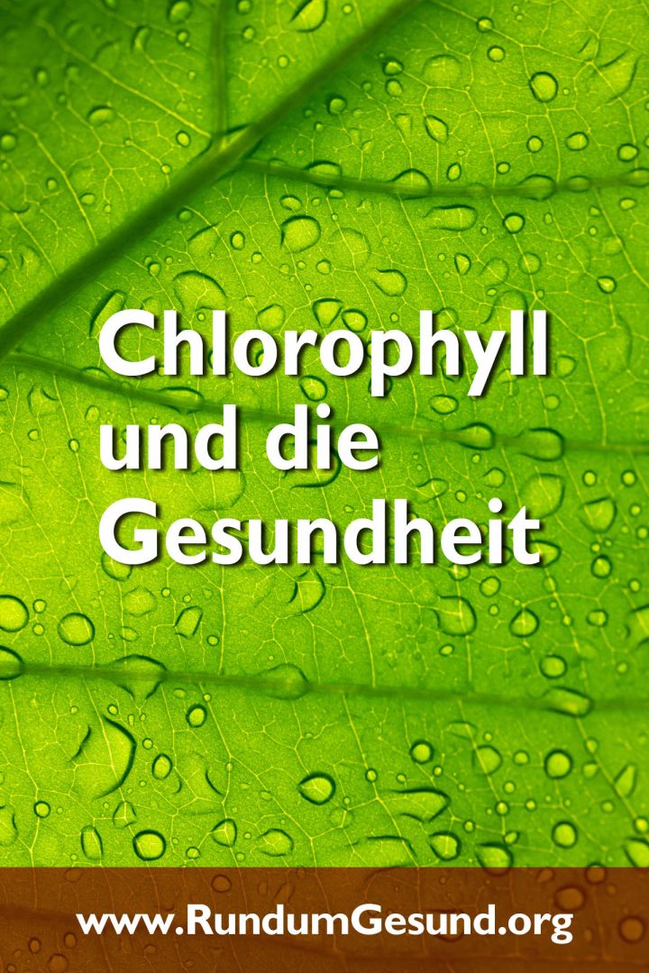 Chlorophyll und die Gesundheit
