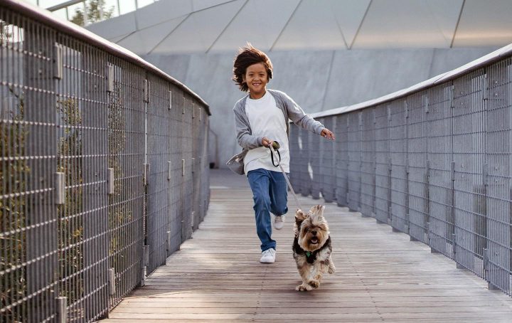 Ein Kind mit einem Hund unterwegs