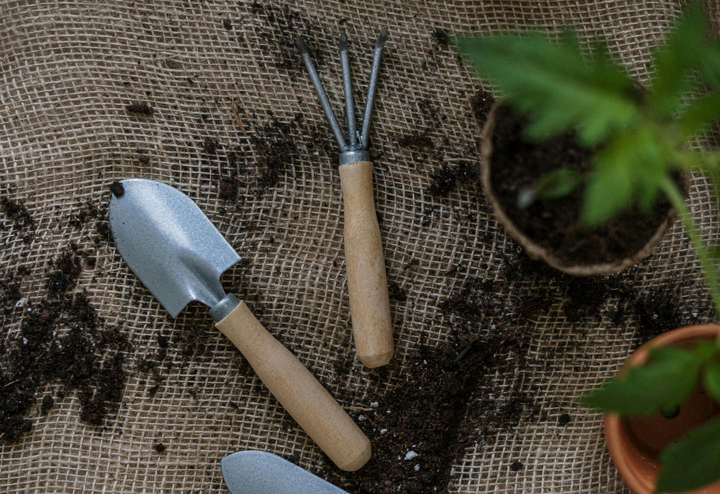 Plant something new