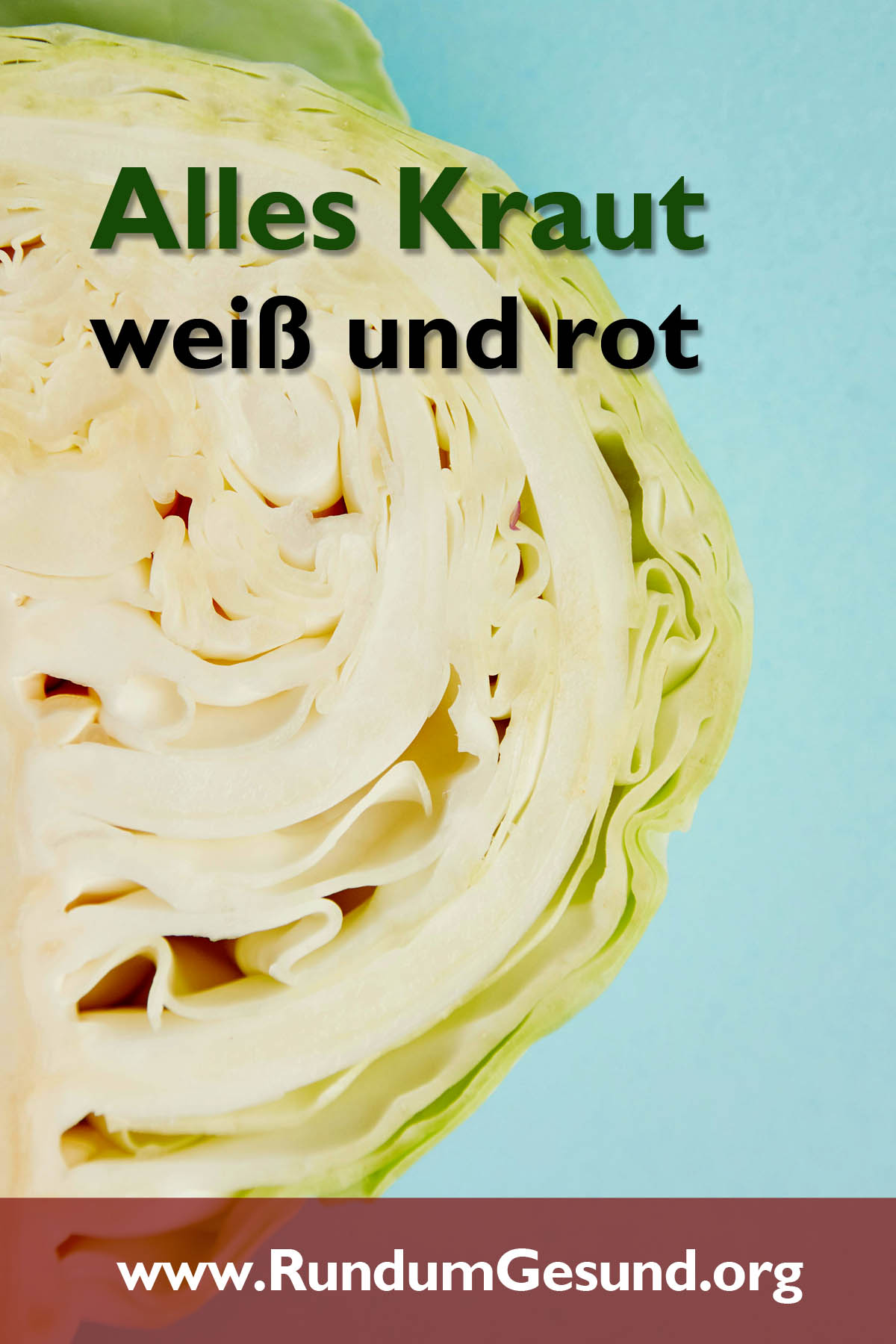 Alles Kraut