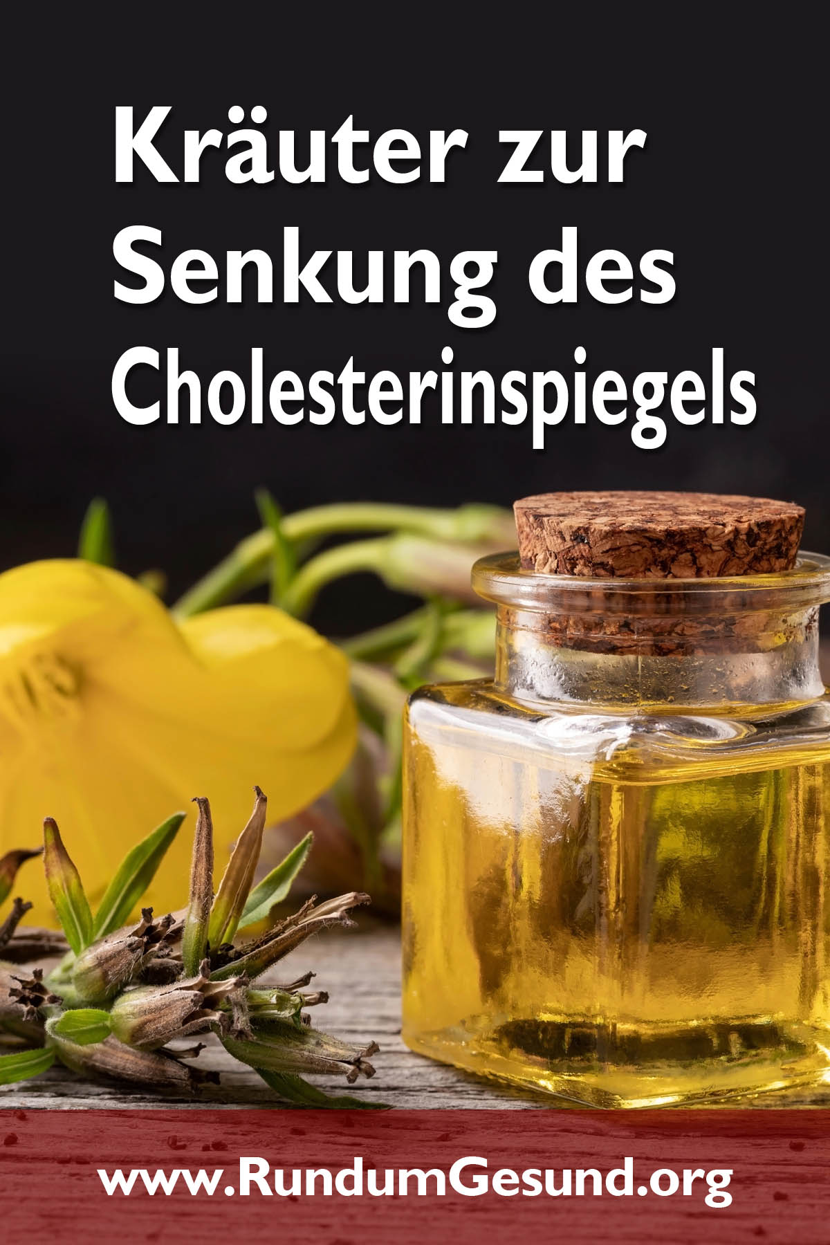 Kräuter zur Senkung des Cholesterinspiegels
